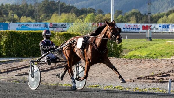 Kolleger bytter hester