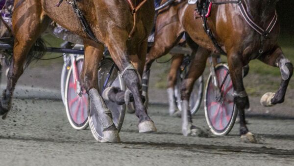 Nå forbys gynging i sulkyen