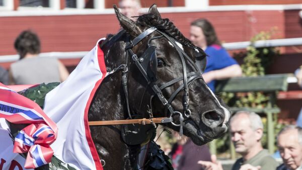 Vinnerhest til Heidi Moen