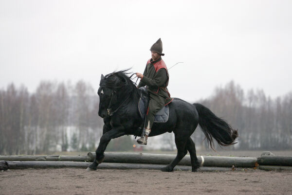 Får nytt liv som ridehester