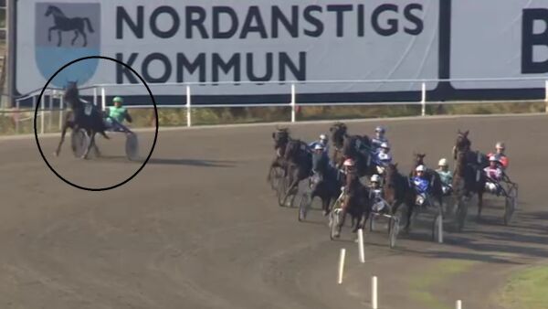 Mener kusken straffet galopperende hest