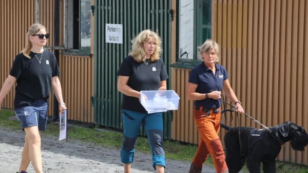 - Rundt 50 dopingprøver