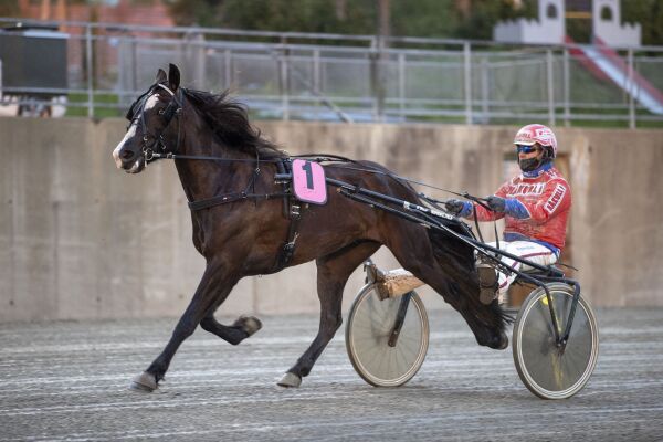 Mister hele sesongen