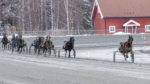 Slik har juristene vurdert travsporten