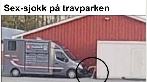 De mest leste sakene i mai