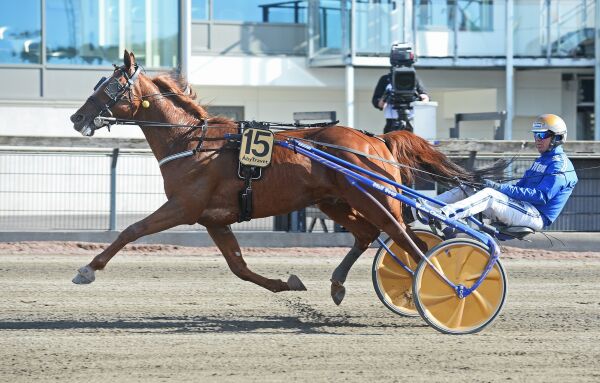 Klart for Prix de Belgique