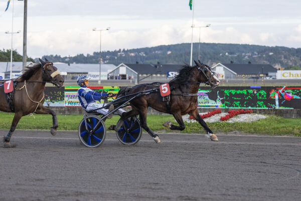 Flott treårsdebutant