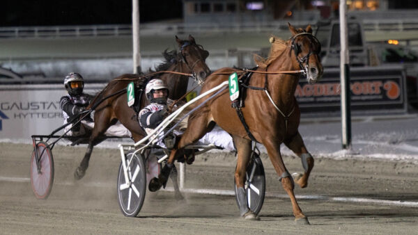 - Ingenting er offentlig