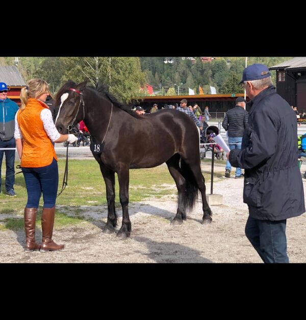 Vakrest i landet her