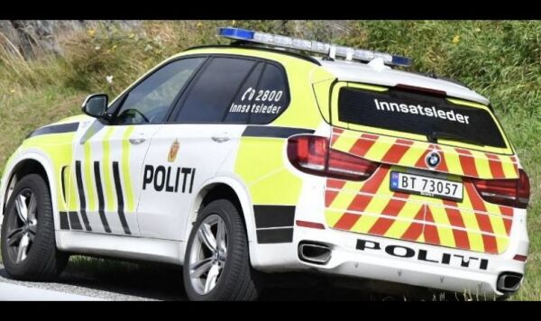 Rømt hest løp rett i bil