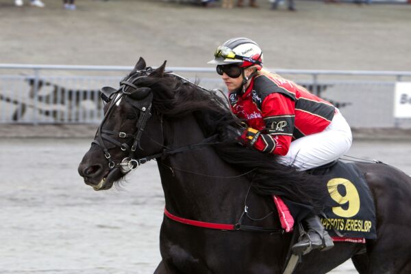 - Mer styrke og ridetrening