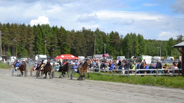 Skal lodde stemningen