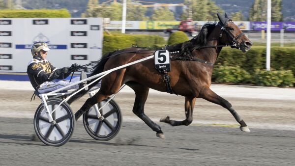 Bøter, svenske kvalifiseringer og 1.09-årsdebut