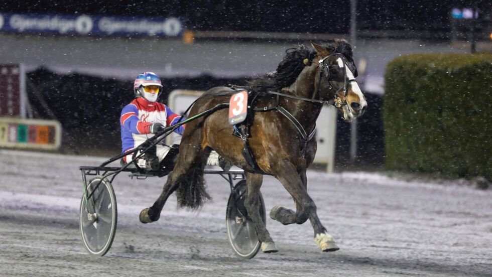 Faks Odin og Per Oleg Midtfjeld bidro til at Tønsberg-kvinnen vant 124.000 kroner.
 Foto: hesteguiden.com