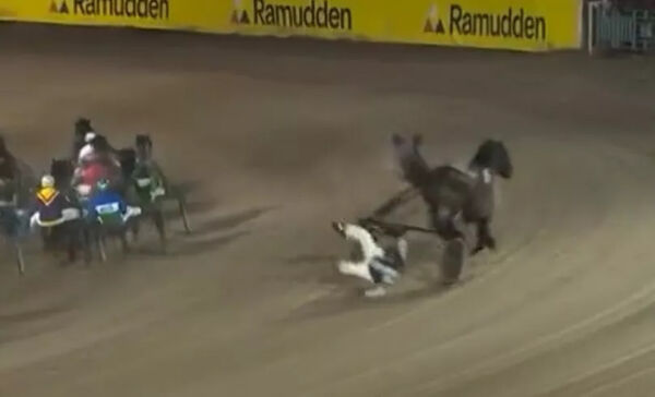 Kona satte foten ned