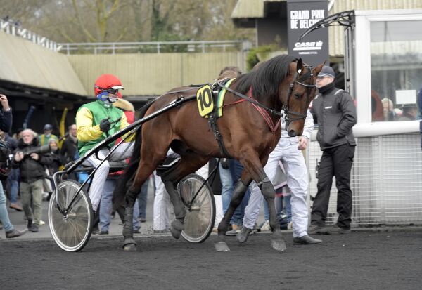 Prix d’Amérique-vinneren skadd