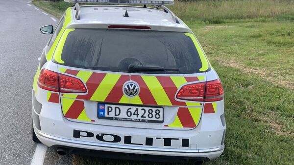Alvorlig skadd i hesteulykke
