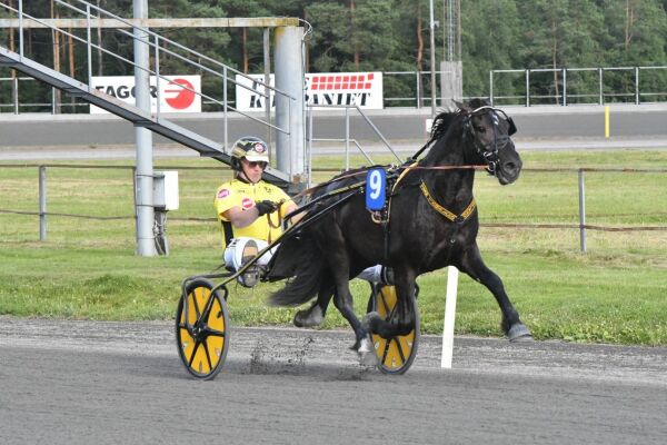Fantastisk treåring fra Tjomsland