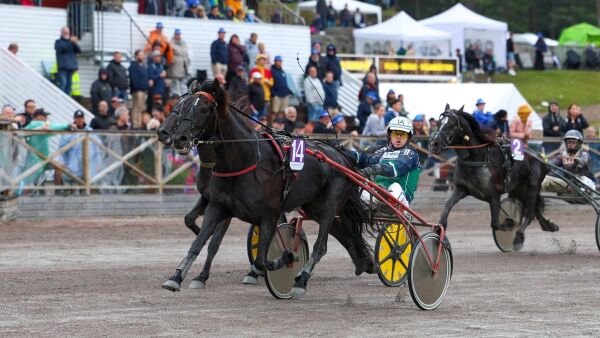 - Prikken over i-en