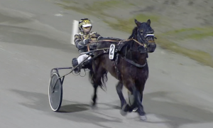 Avgjorde helenkelt
