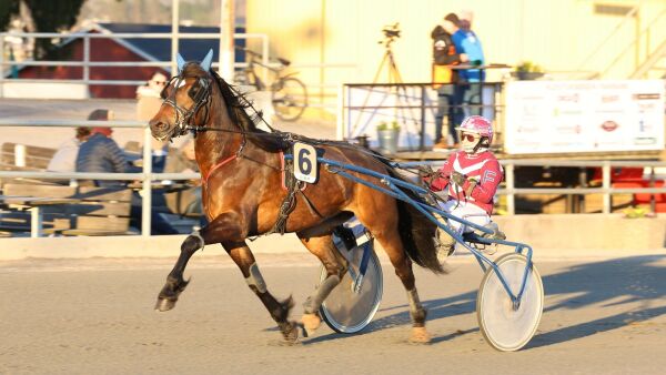 - For meg er hest redningen