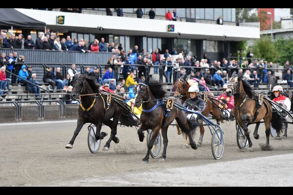 - Kassakreditt til premier
