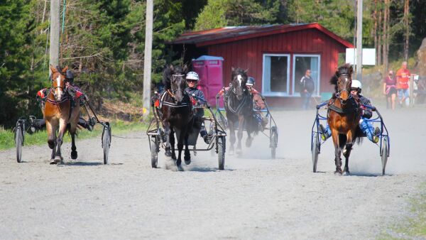 Investerte 150.000 i lys