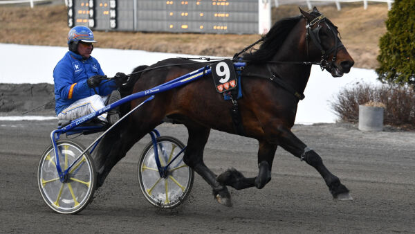 - Karrieren er over