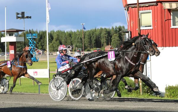 Se Hambletonian live, sjokket svenskene og må opereres etter den stygge styrten
