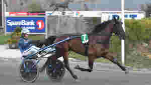 Hamres vinnerhest til Finland