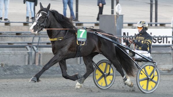 Nå hos Mikkelsen