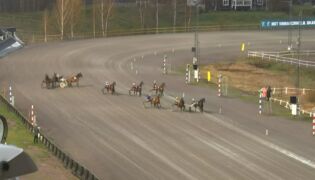 Løse hester og kusk til sykehus