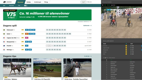 Oppdaget datafeil