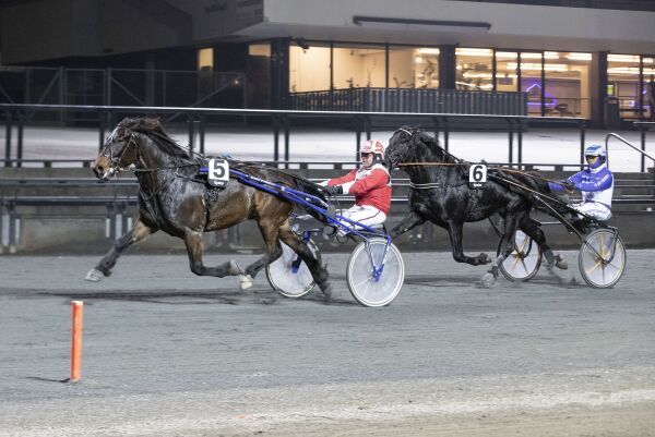 En vinner igjen etter 28 måneder