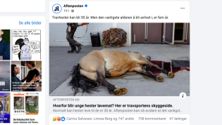 Hestedøden: Ingen pris for trav-død-saken