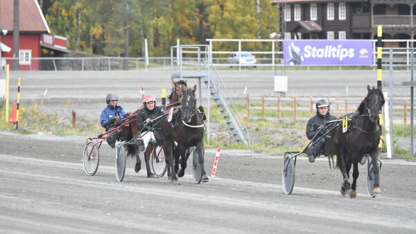 Landsfinalen kan bli avviklet