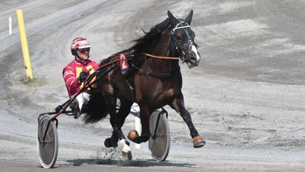 Seiersmaskin til Telemark