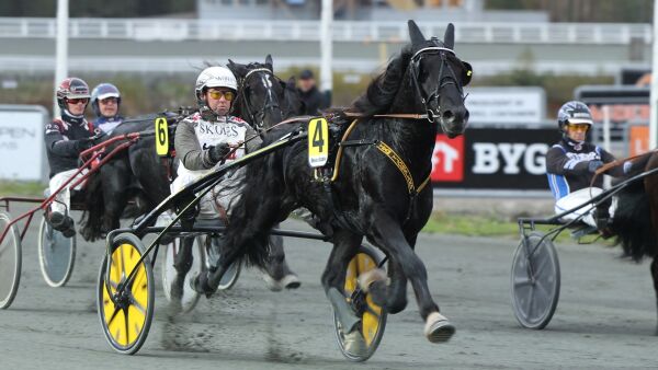 Vinnerhest til Kals