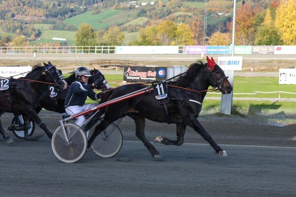 Stor interesse for Solvalla