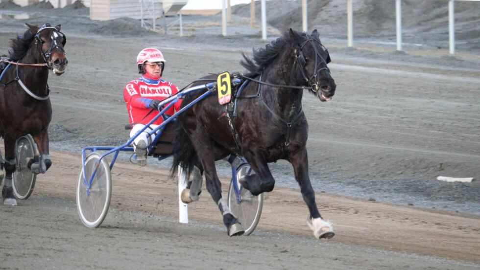 Odd CK og Åsbjørn Tengsareid.
 Foto: SDT-Foto/hesteguiden.com