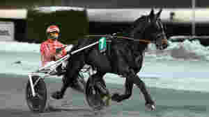 - Kanskje han er en ny Elding
