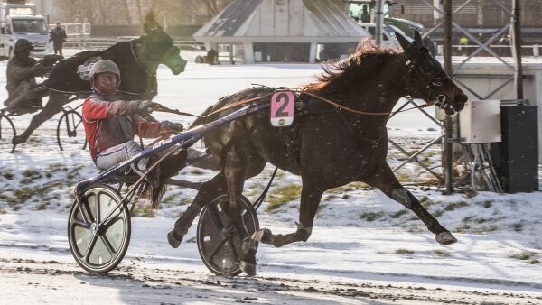 – Savnet å ha løpshest