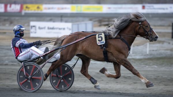 Nytt talent fra Brenne