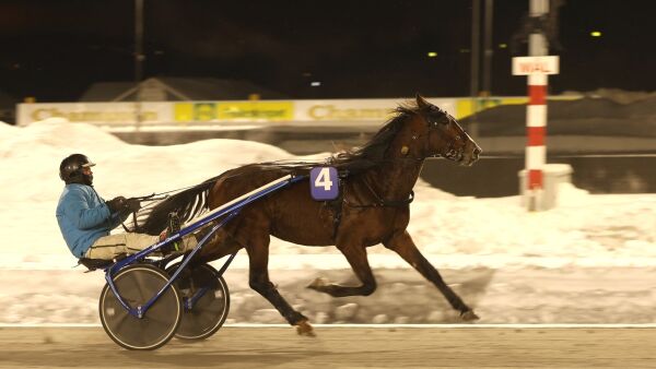 29 mot en