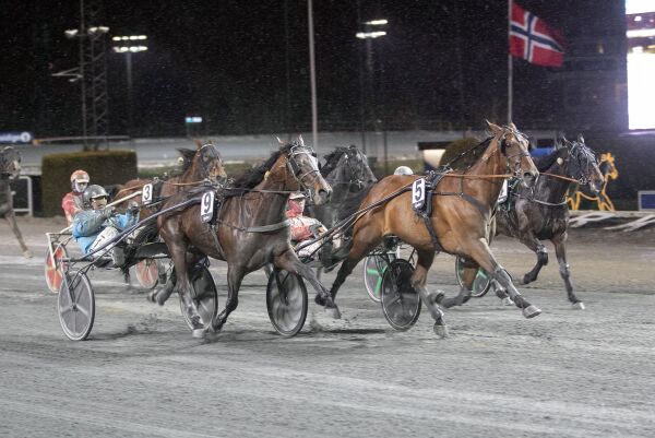 Risikerer milliongebyr