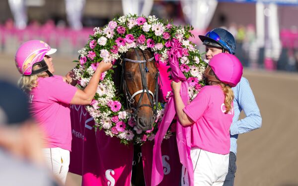 Elitloppsvinneren står foran mulig karriereslutt