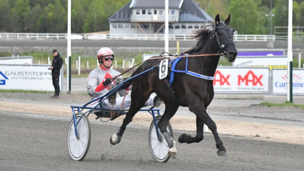 - Nå blir det amatør-NM