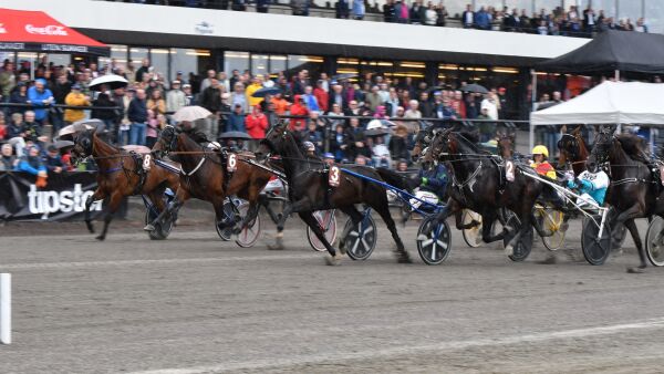 Her er OGP-hestene