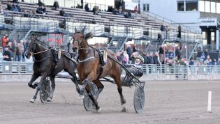 Solvalla: - Helt sykt løp / Norsk skuffelse