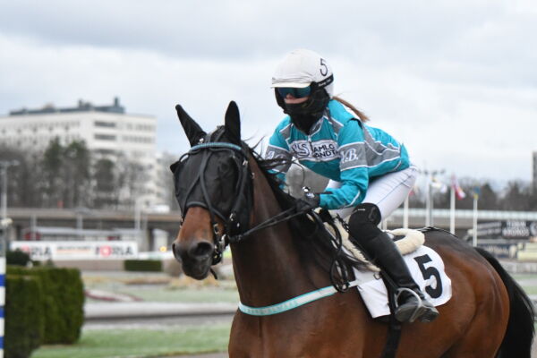 10000 kuskeseire, Elitloppsblåser og tvinges til pause